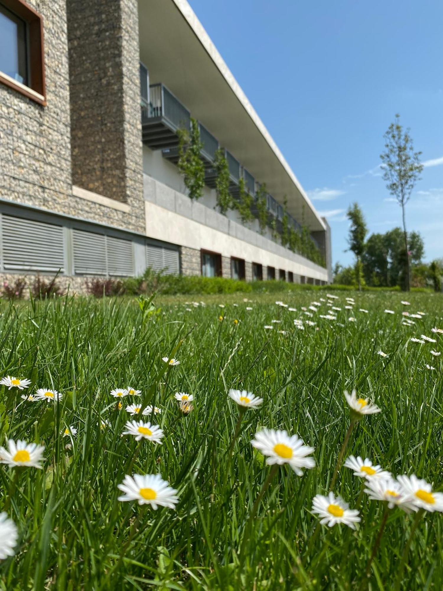 Akademia Hotel Balatonfüred Exteriér fotografie